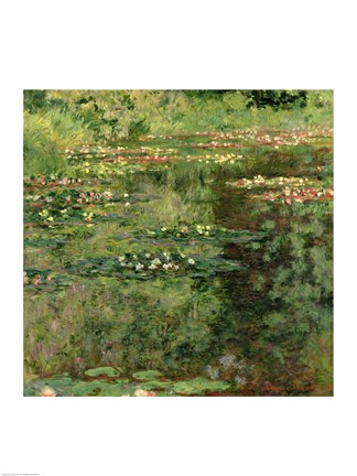 Framed Waterlily Pond, 1904 Print