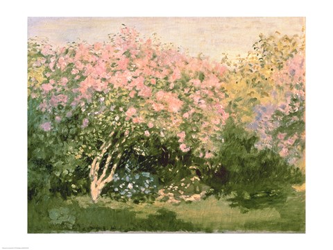 Framed Lilac in the Sun, 1873 Print