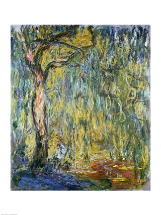 Framed Large Willow at Giverny, 1918 Print