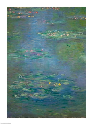 Framed Waterlilies, detail, 1903 Print
