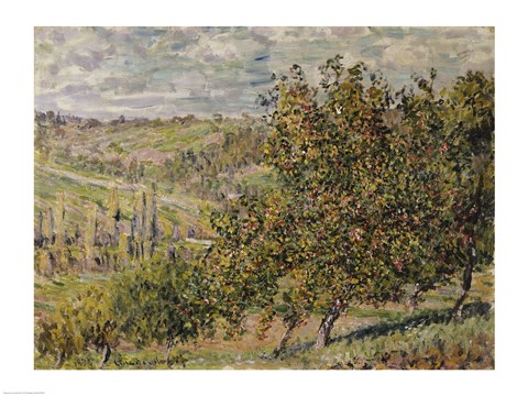 Framed Apple Blossom Print