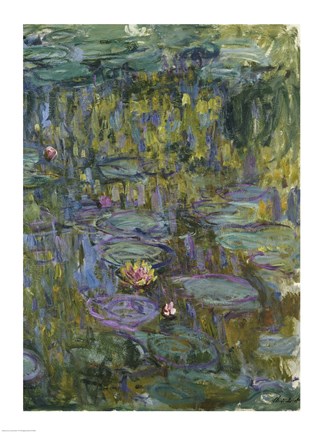 Framed Waterlilies (dark green) Print