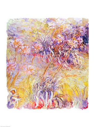 Framed Impression: Flowers Print