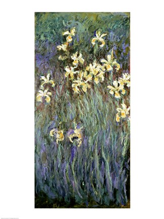 Framed Yellow Irises Print