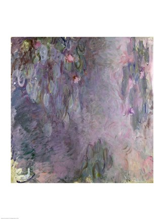 Framed Light-coloured Waterlilies, 1917-25 Print