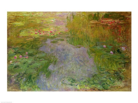 Framed Waterlilies, c.1919 Print