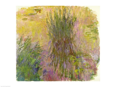 Framed Waterlilies (yellow) Print