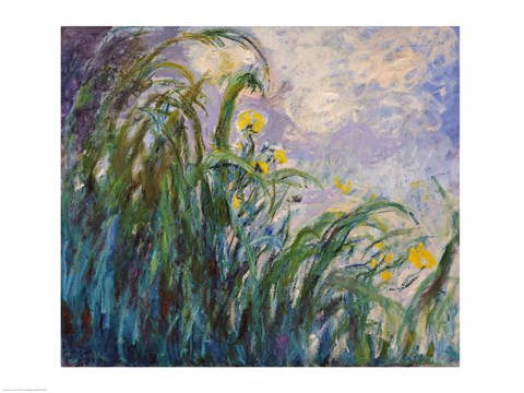 Framed Yellow Iris Print