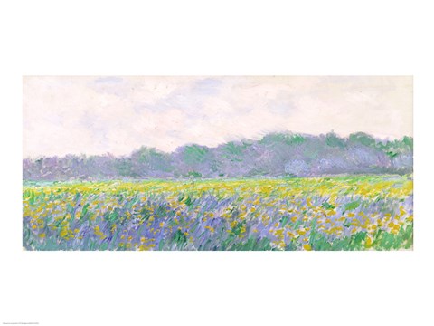 Framed Field of Yellow Irises at Giverny, 1887 Print