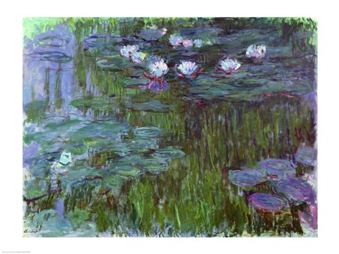 Framed Waterlilies, 1914-17 Print