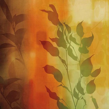 Framed Nature&#39;s Glow I Print
