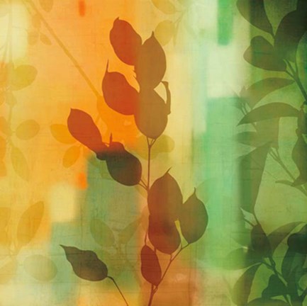 Framed Nature&#39;s Glow II Print