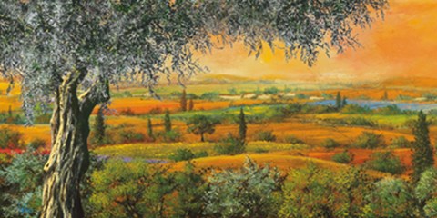 Framed Vallata degli ulivi Print