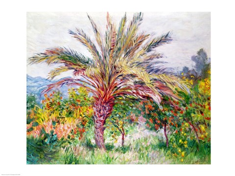 Framed Palm Tree at Bordighera Print