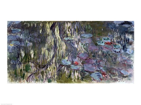 Framed Waterlilies (horizontal) Print