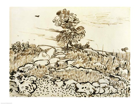 Framed Rocky Ground at Montmajour Print