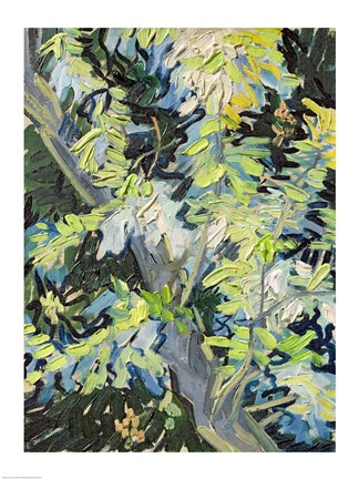 Framed Acacia in Flowe Print