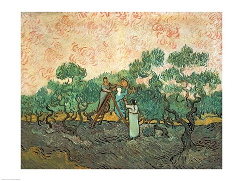 Framed Olive Pickers Print