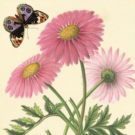 Framed Country Cousins II Print