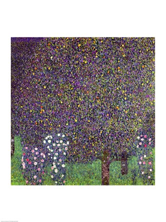 Framed Roses under the Trees, c.1905 Print