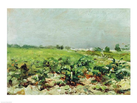 Framed Celeyran, View of the Vineyard, 1880 Print