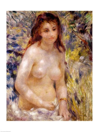 Framed Study, Torso, effect of sunlight Print