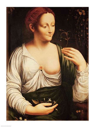 Framed Columbine Print