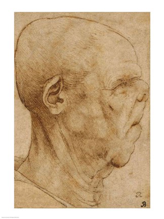 Framed Caricature of the head of an old man, in profile to the right, c.1507 Print