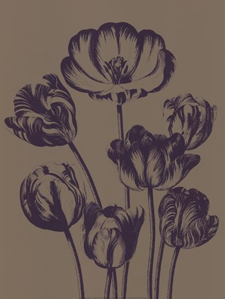 Framed Tulip 14 Print