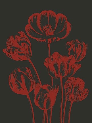 Framed Tulip 10 Print