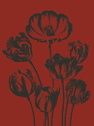 Framed Tulip 9 Print