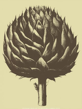 Framed Artichoke 3 Print