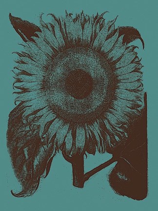 Framed Sunflower 5 Print