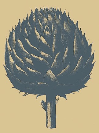 Framed Artichoke 1 Print