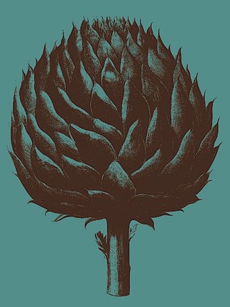 Framed Artichoke 5 Print