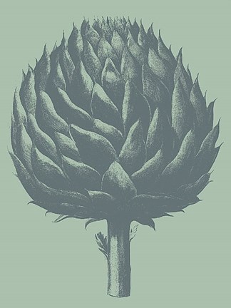 Framed Artichoke 8 Print