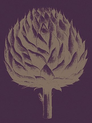 Framed Artichoke 13 Print