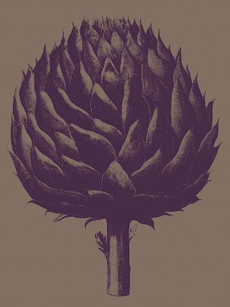 Framed Artichoke 14 Print