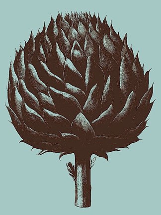 Framed Artichoke 18 Print