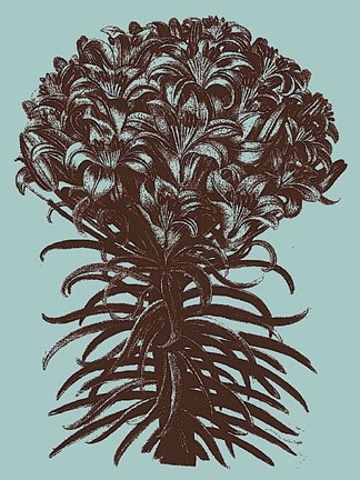 Framed Lilies 18 Print