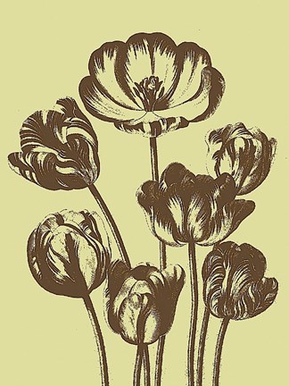 Framed Tulip 3 Print