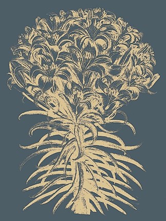 Framed Lilies 2 Print