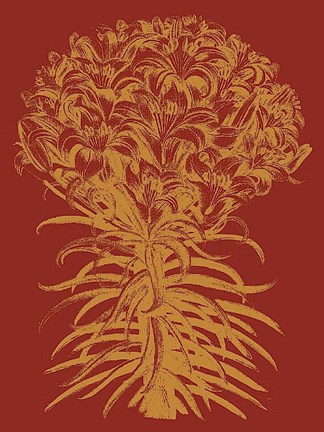 Framed Lilies 16 Print