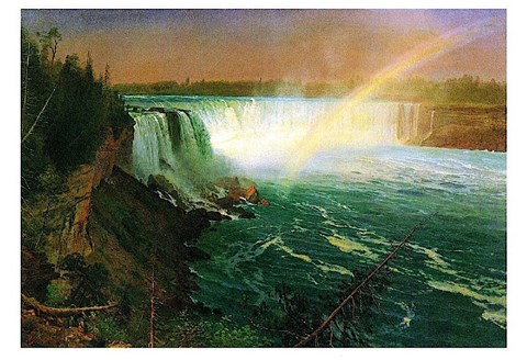 Framed Niagara Falls Print