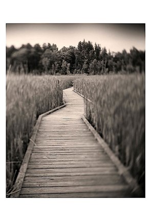 Framed Towards Woods Print