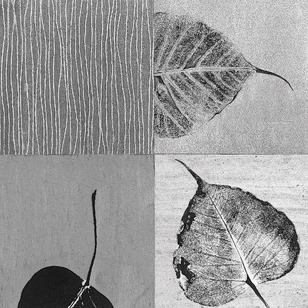 Framed Leaf Quad Print