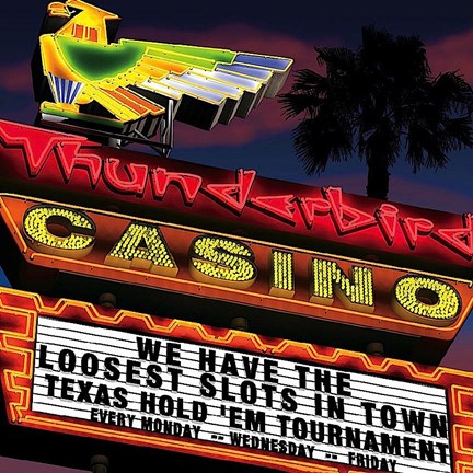 Framed Thunderbird Print