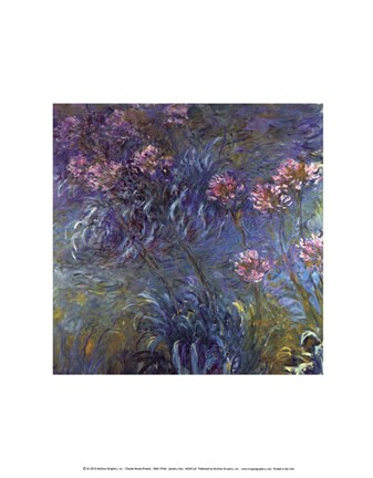 Framed Jewelry lilies Print