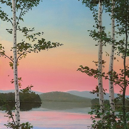 Framed Cooper Sunset Birches Print