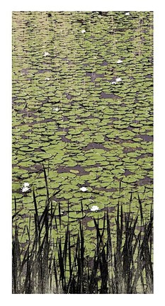 Framed Lily Pond II Print